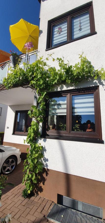 Apartmán Karibu Tiefenthal Exteriér fotografie